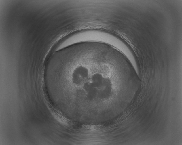 X0000083990679200702232112