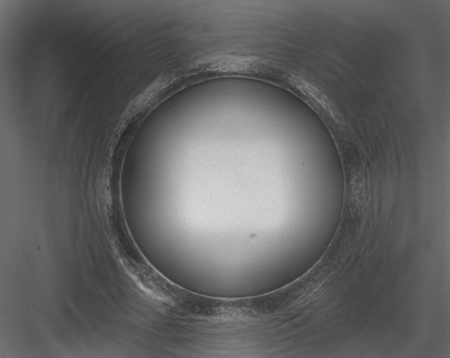 X0000083990682200702232112