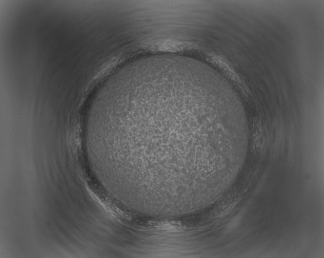 X0000083990683200702232112