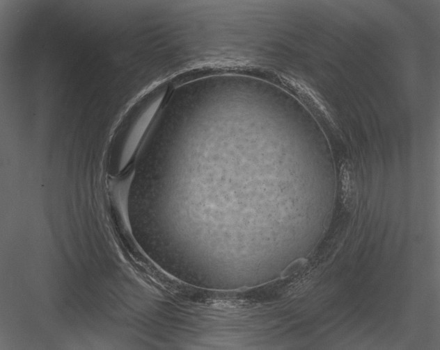 X0000083990684200702232112