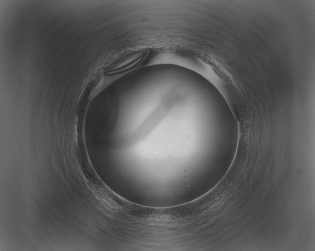 X0000083990685200702232112