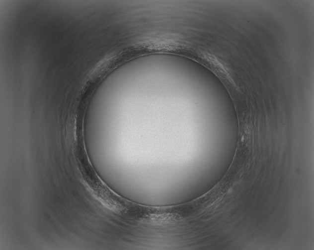 X0000083990686200702232111