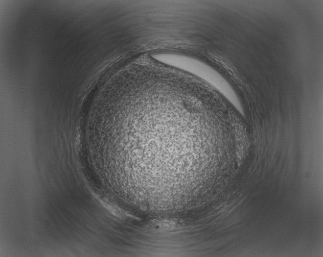 X0000083990687200702232111