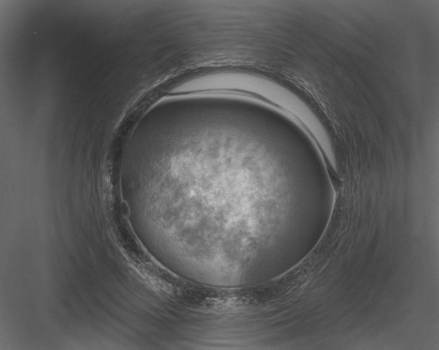 X0000083990688200702232111