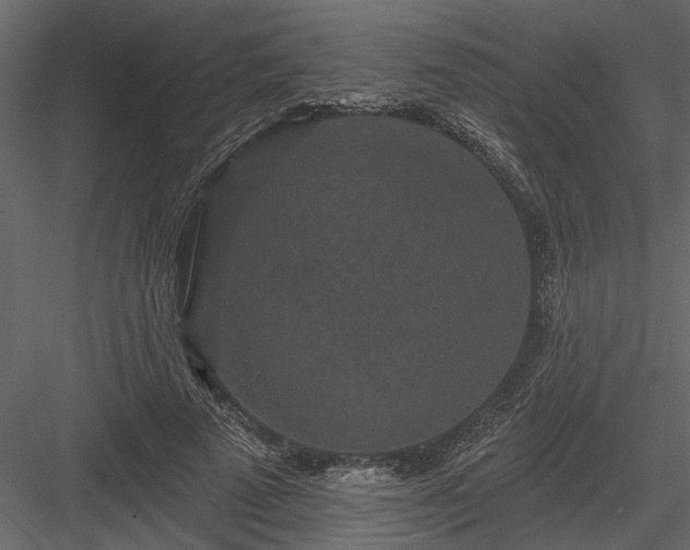 X0000083990689200702232111