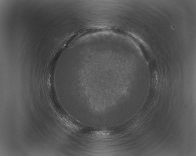 X0000083990692200702232111