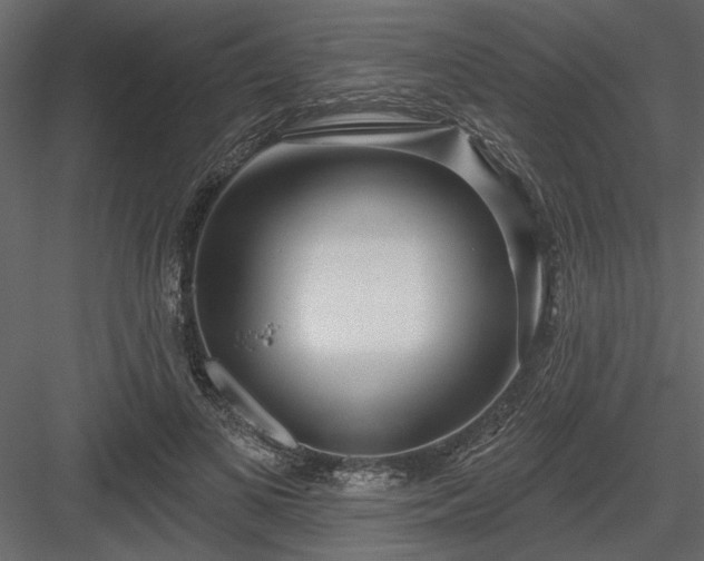 X0000083990693200702232111