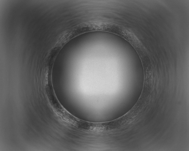 X0000083990694200702232111