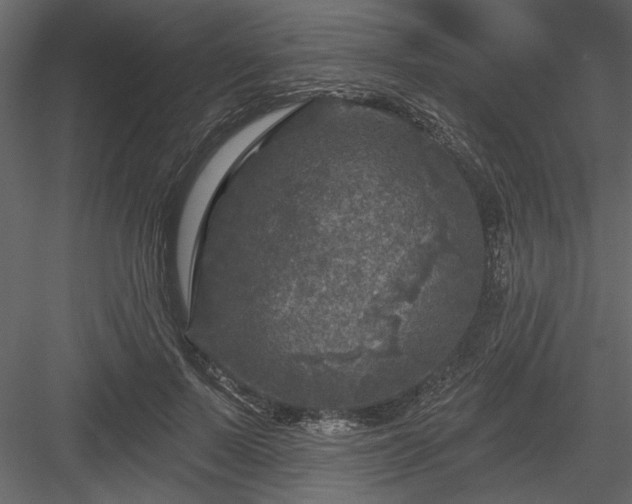 X0000083990695200702232111