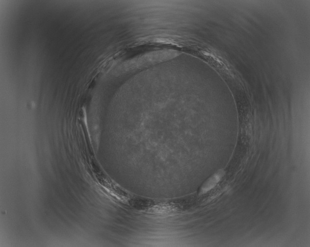 X0000083990696200702232111