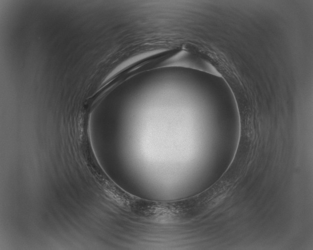 X0000083990697200702232111