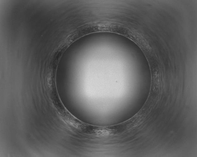 X0000083990698200702232111