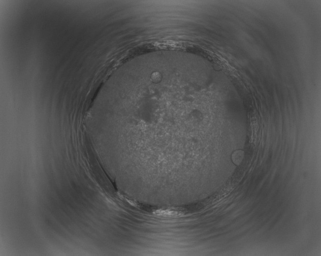 X0000083990699200702232111