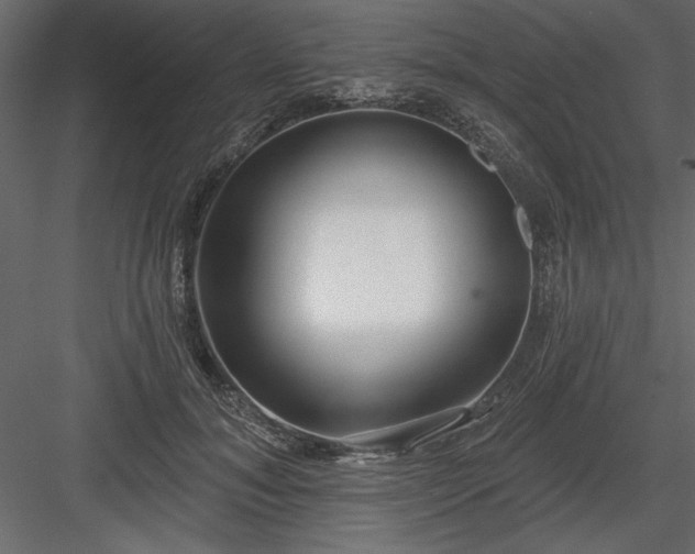 X0000083990700200702232111