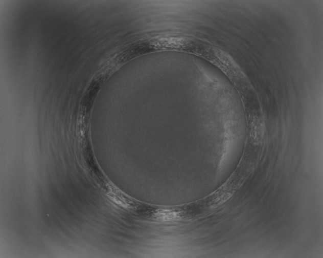 X0000083990701200702232111