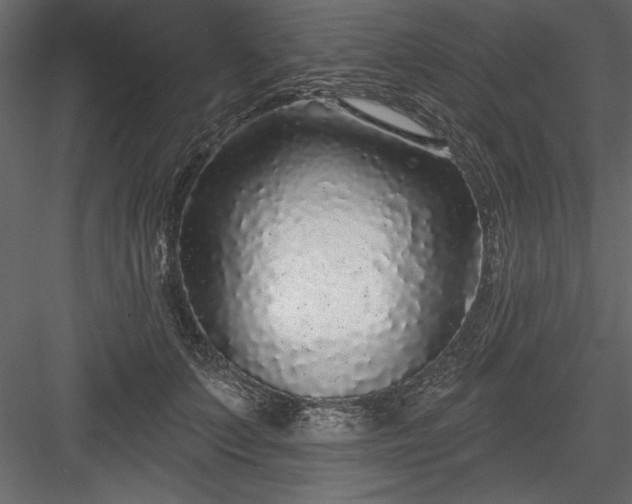 X0000083990703200702232111