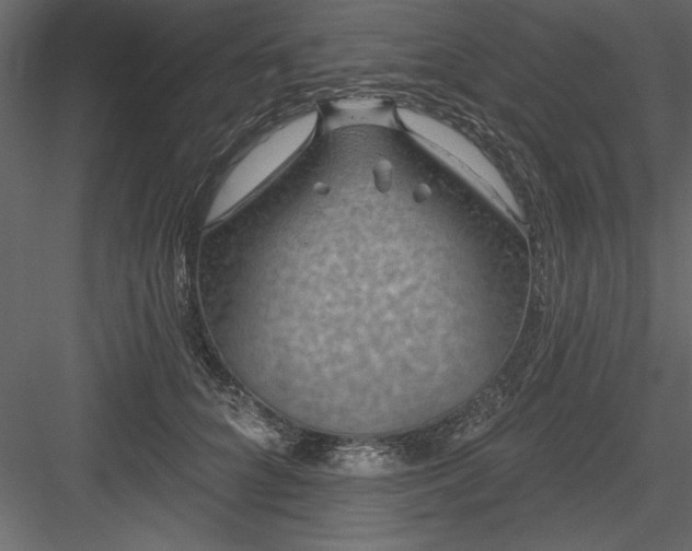 X0000083990704200702232111