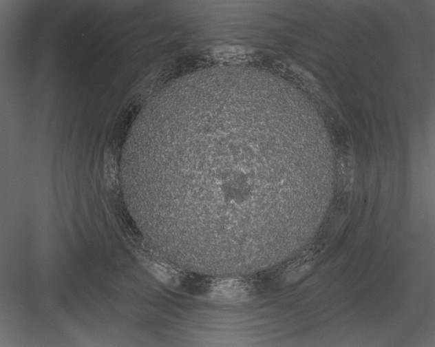 X0000083990705200702232111