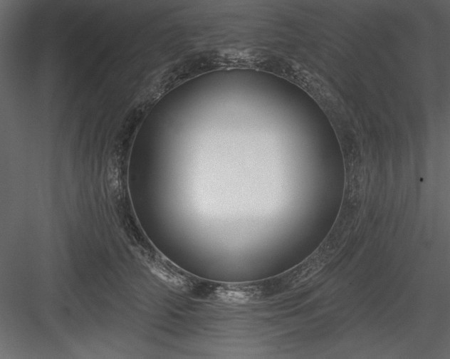 X0000083990706200702232111