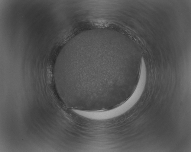 X0000083990707200702232111