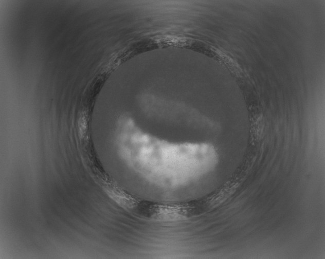 X0000083990709200702232111