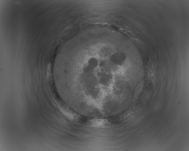 X0000083990711200702232111