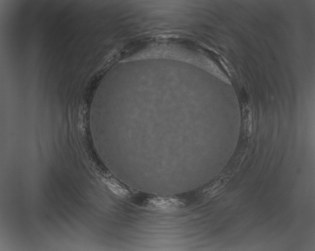 X0000083990712200702232111