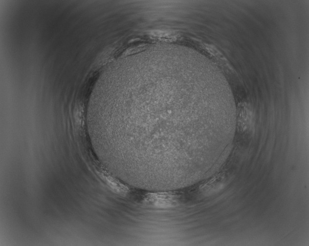 X0000083990713200702232111