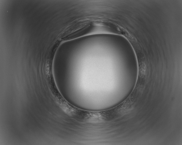 X0000083990715200702232111