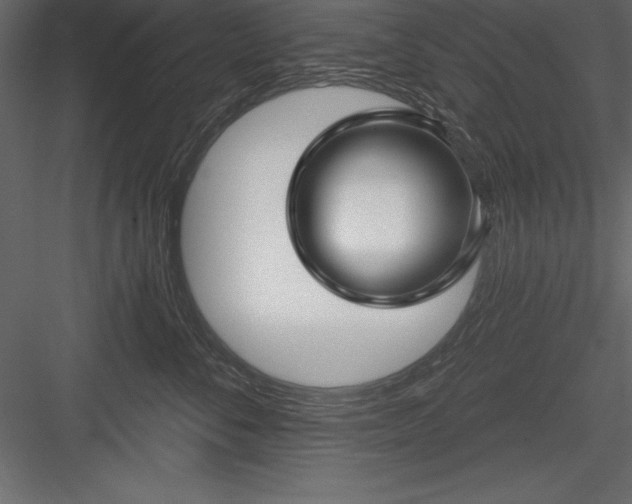 X0000083990716200702232111