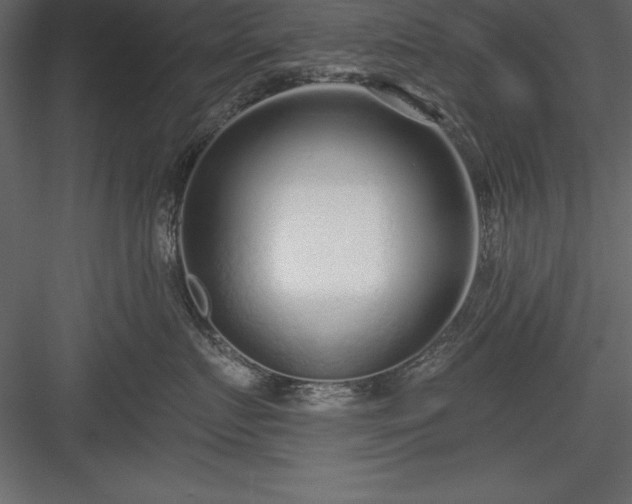 X0000083990719200702232111