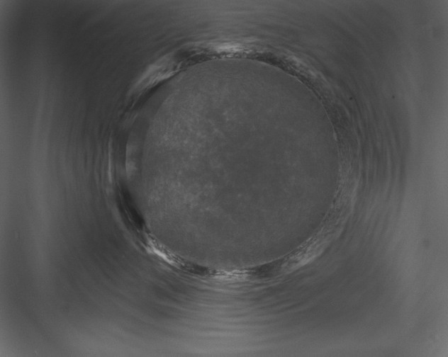 X0000083990720200702232111