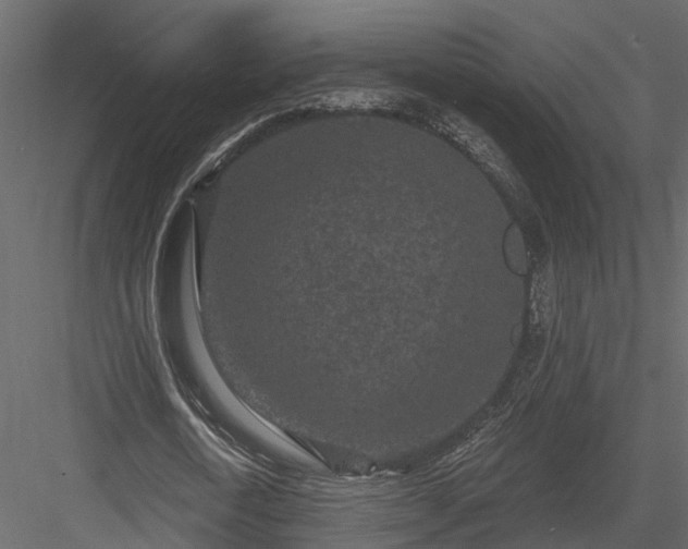 X0000083990722200702232110