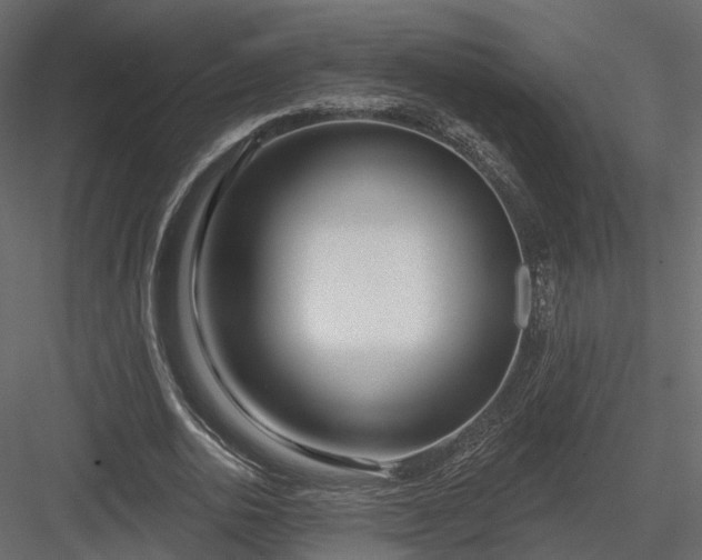 X0000083990726200702232110