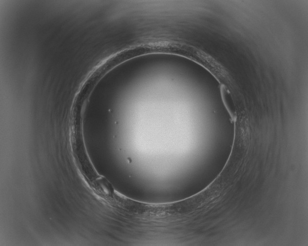 X0000083990728200702232110