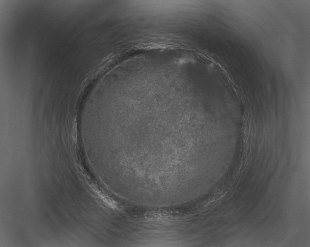 X0000083990729200702232110