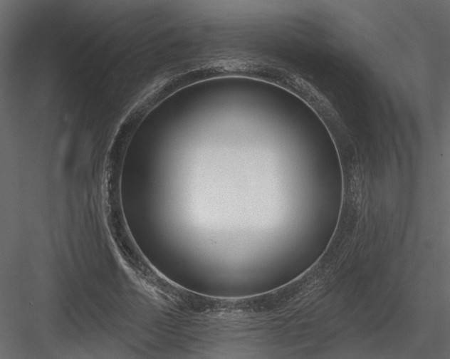 X0000083990730200702232110