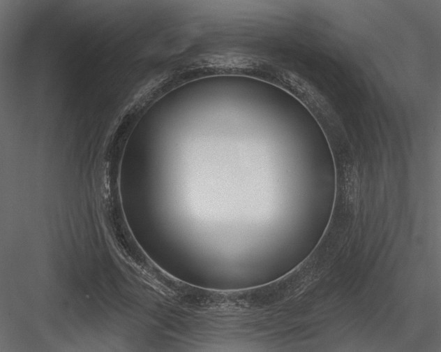 X0000083990731200702232110