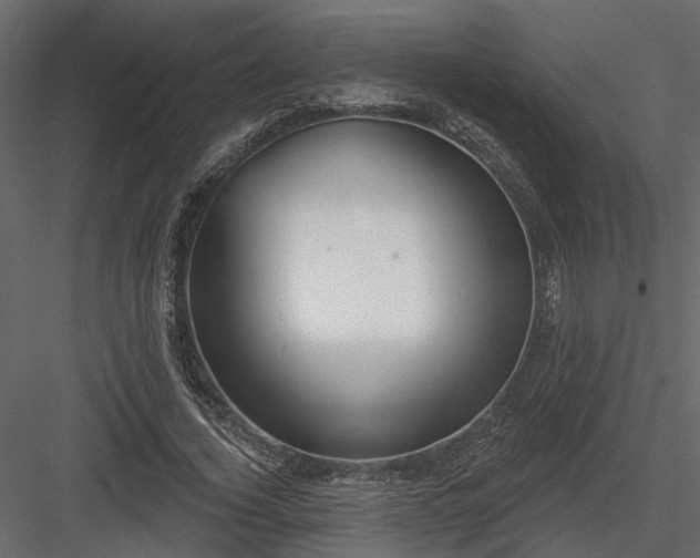 X0000083990732200702232110