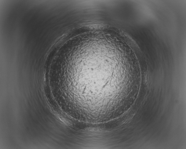 X0000083990733200702232110