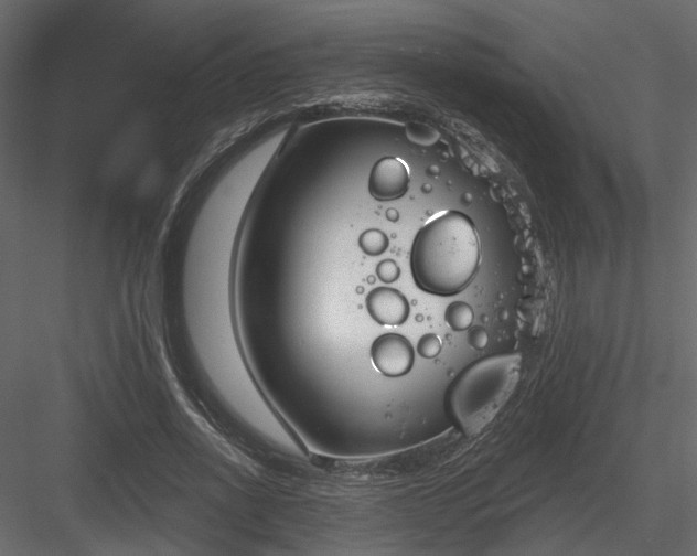 X0000083990734200702232110