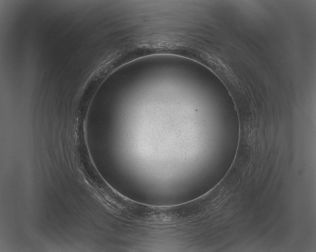 X0000083990735200702232110