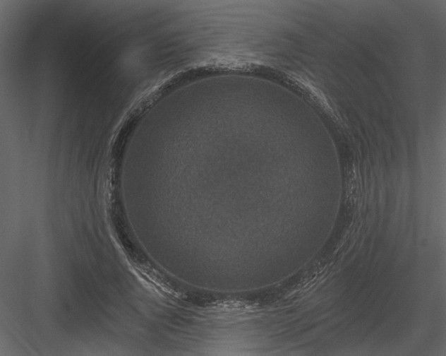 X0000083990736200702232110