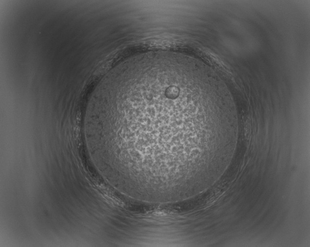 X0000083990737200702232110