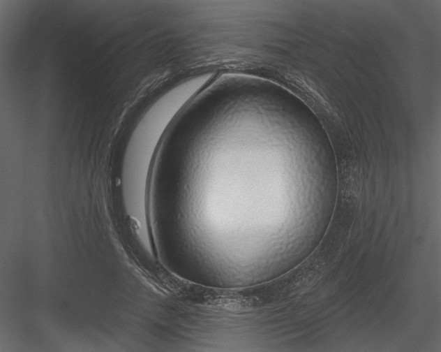 X0000083990738200702232110