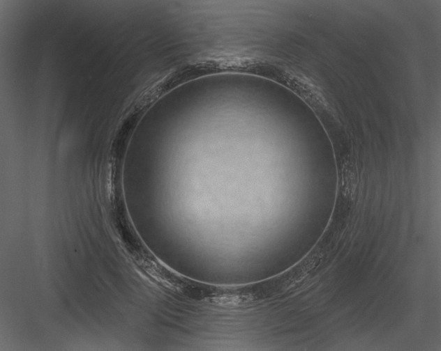 X0000083990740200702232110