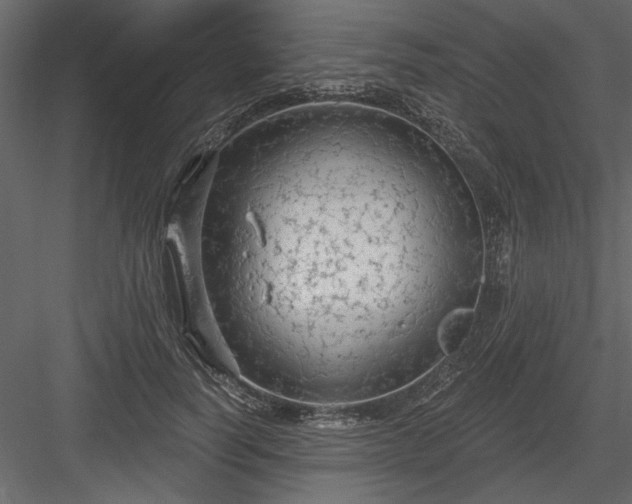 X0000083990746200702232110