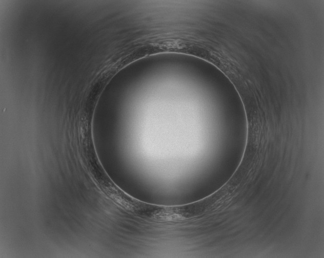 X0000083990747200702232111