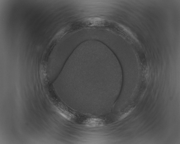 X0000083990748200702232111