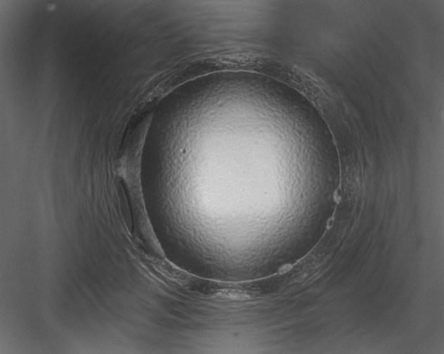 X0000083990749200702232111